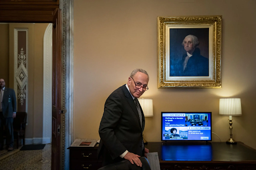 Chuck Schumer standing in front of a picture of George Washington